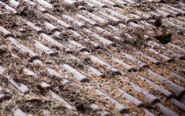 Lawn roof cleaning companies