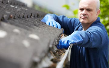 cleaning and inspecting Lawn roofs