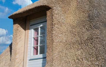 Lawn thatch roof disadvantages