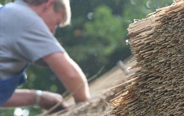 professional Lawn thatchers