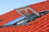 Lawn roof window