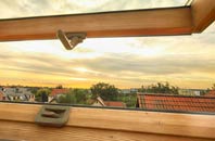 rated Lawn roof window companies